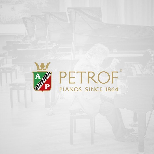 FNX PIANOS MUSIQUE Fully